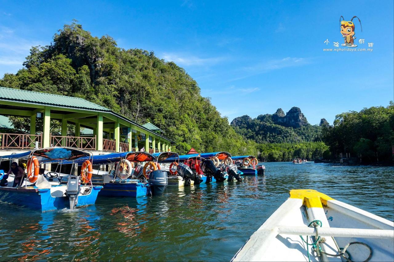 Jelajahi Keajaiban Hutan Bakau Langkawi: Mangrove Tour Tak Terlupakan